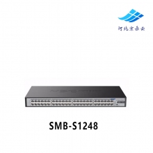 H3C华三SMB-S1248 48口全千兆交换机以太网监控非管理防雷